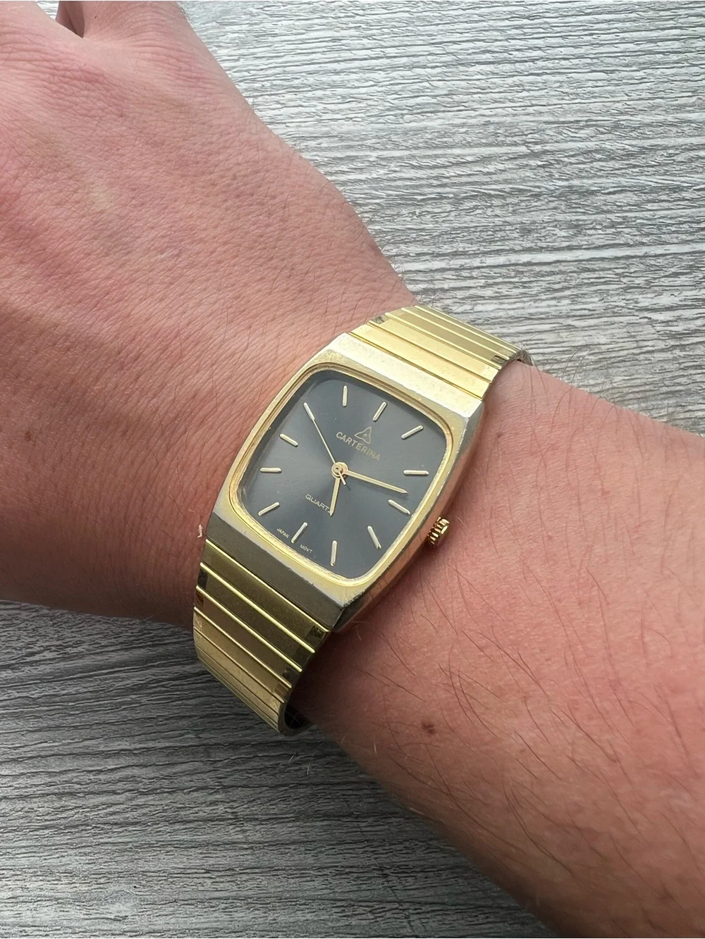 Carterina Quartz mens gold tank watch